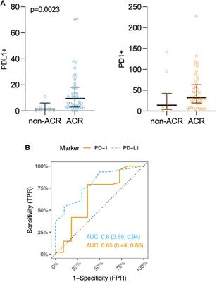 Elevated PD-L1 and PECAM-1 as Diagnostic Biomarkers of Acute Rejection in Lung Transplantation